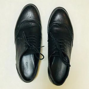 ALDO Brogues ✨ NWOT